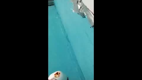 danipas_30 online show from February 12, 5:57 am