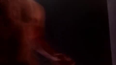 daniwood473904 online show from April 4, 3:38 am