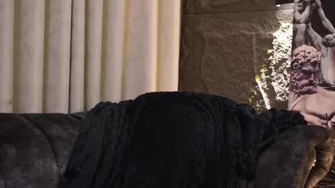 Dann saenz online show from November 9, 12:09 am