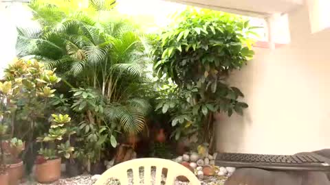 Dannamunoz130 online show from October 12, 12:48 pm