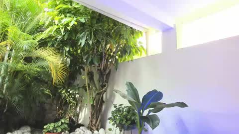 Snapshot of dannadoll69 chatting on May 31, 1:29 pm Dannamunoz130 online show from May 31, 1:29 pm