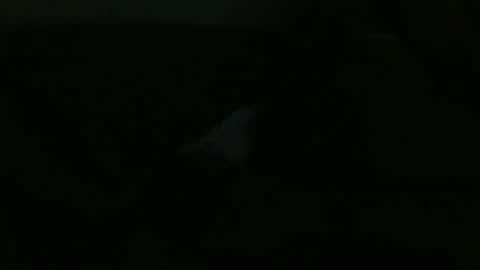 Dee online show from December 24, 12:00 pm