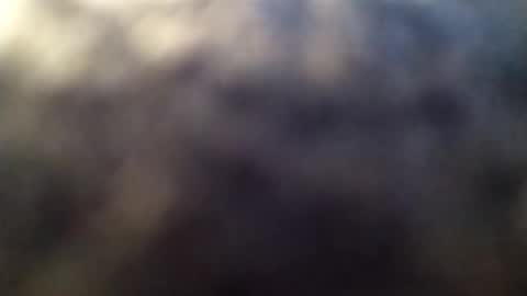 dannowisc online show from March 1, 2:02 am