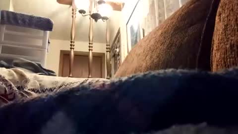 dannowisc online show from April 17, 11:02 am