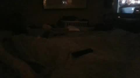 Snapshot of dannyb618 chatting on December 24, 2:43 am Danielle online show from December 24, 2:43 am