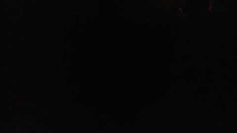 Danielle online show from February 1, 11:31 am