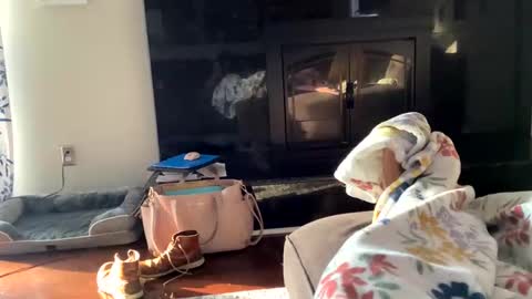 dannyboy621 online show from November 2, 1:24 pm