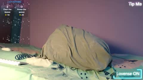 dante_bear online show from November 27, 2:24 am