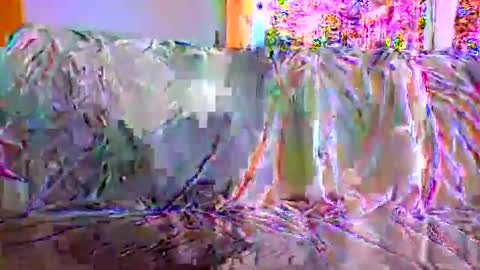 danwick69 online show from September 17, 11:45 am