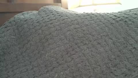 dapppper online show from September 24, 2:20 pm