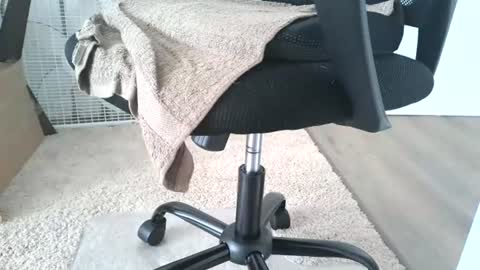 Snapshot of dapppper chatting on June 13, 12:14 pm dapppper online show from June 13, 12:14 pm