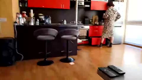 dxd69 online show from April 8, 3:01 pm