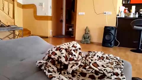 dxd69 online show from April 22, 2:40 pm