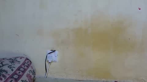 Snapshot of dark_princess1 chatting on October 8, 7:50 am dark_princess1 online show from October 8, 7:50 am