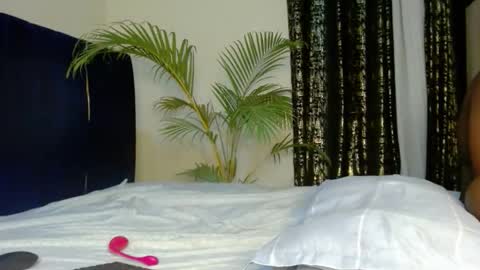 Tiff online show from December 23, 12:19 am