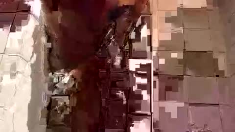 Snapshot of davedowning042075 chatting on February 5, 7:07 am davedowning042075 online show from February 5, 7:07 am