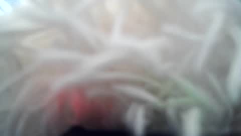 daverz3 online show from March 4, 8:42 am