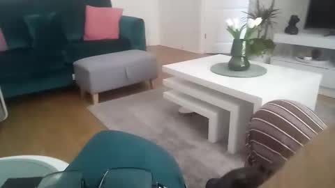 davf76 online show from April 20, 7:33 am