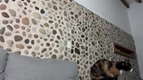 David online show from October 1, 3:45 am