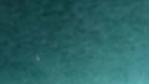 davidf75 online show from November 12, 9:42 am