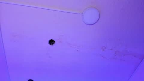 dayana_harlow2 online show from January 15, 10:13 pm