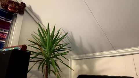 Snapshot of dayblue chatting on March 2, 2:58 am dayblue online show from March 2, 2:58 am