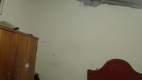 Dylon online show from November 10, 10:58 am