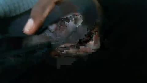 Snapshot of dbizzlenyc chatting on February 1, 9:19 pm dbizzlenyc online show from February 1, 9:19 pm