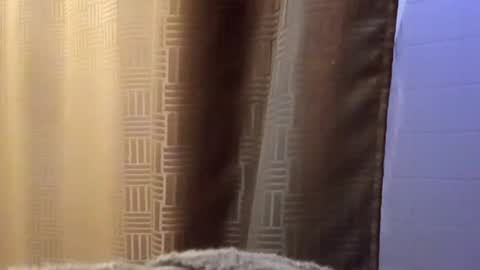 dbossxtina online show from November 12, 8:48 am