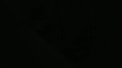 ddog1993 online show from April 22, 9:55 am