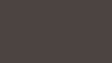 Snapshot of deboutbree chatting on March 17, 12:15 am 30sHotcouple online show from March 17, 12:15 am