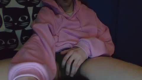 Snapshot of dekustick__ chatting on January 9, 7:42 am CozyClementine online show from January 9, 7:42 am