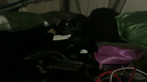 delightfuldark online show from October 3, 11:07 am