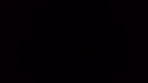 deliv_shopi online show from November 9, 2:32 am