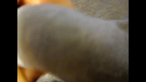 deliv_shopi online show from November 25, 4:18 pm