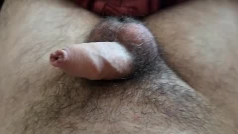 Snapshot of denis647 chatting on September 15, 12:05 pm LilRoach online show from September 15, 12:05 pm