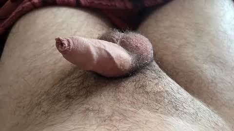 Snapshot of denis647 chatting on November 16, 3:28 pm LilRoach online show from November 16, 3:28 pm