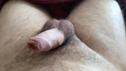 Snapshot of denis647 chatting on December 1, 3:17 pm LilRoach online show from December 1, 3:17 pm