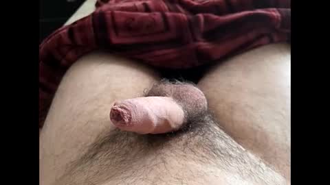 Snapshot of denis647 chatting on February 10, 2:21 pm LilRoach online show from February 10, 2:21 pm