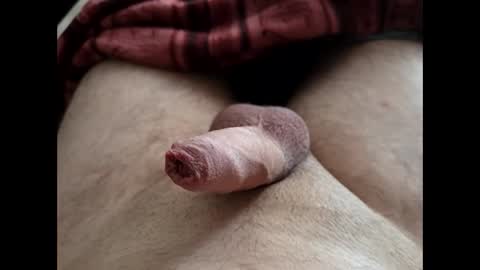 Snapshot of denis647 chatting on February 25, 2:05 pm LilRoach online show from February 25, 2:05 pm