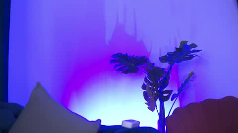 denisedevilles online show from May 10, 8:47 pm