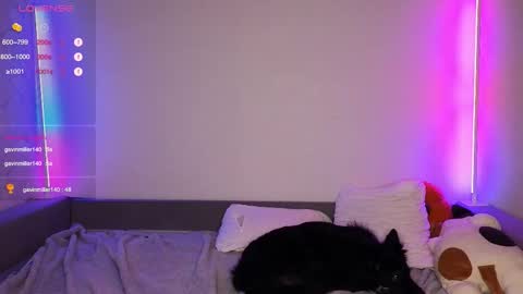 Den online show from December 4, 2:15 pm