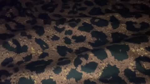 derek829099 online show from September 11, 6:57 am