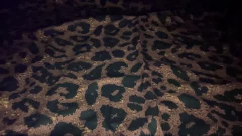 derek829099 online show from October 9, 7:06 am