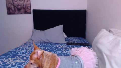 Derek online show from March 2, 8:29 pm