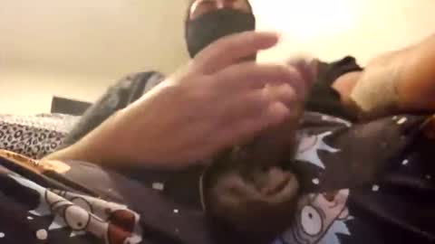 DesertLatinocock online show from October 20, 6:47 am