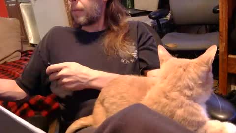 desolation2012 online show from November 1, 4:58 am