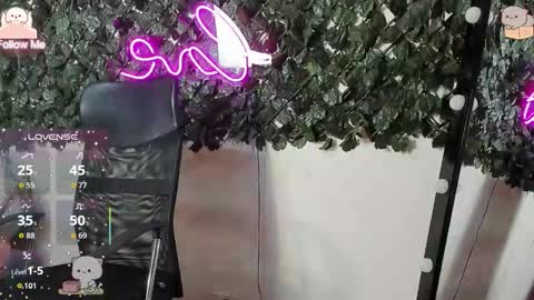 Destiny online show from January 7, 11:56 am