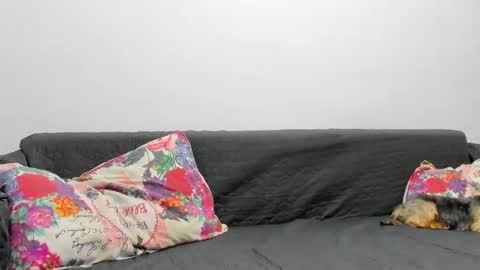 Misha online show from February 3, 7:07 am