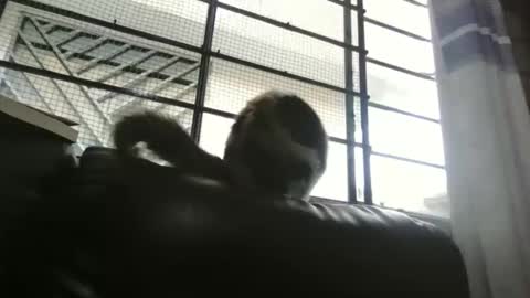 dickeduardo online show from March 29, 10:32 pm